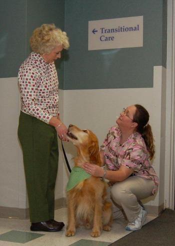 Therapy Dogs, Inc.